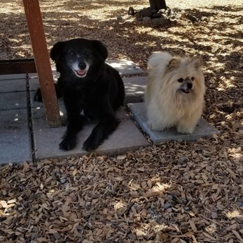 The Backyard at Progress Park - Shady area by the picnic table where the doggos can rest - Dog Parks Near Me - San Francisco, California