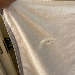 Tear in towel