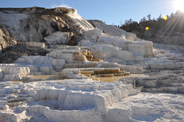Mammoth Hot Springs by null
