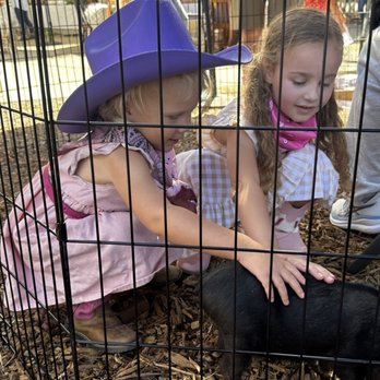 Picture Perfect Ponys - Petting Zoos Near Me - Fallbrook, California