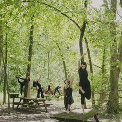 Yogasphere