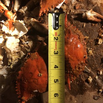 Hunter's Crabs - Same as the other, paid for large and for small. - Seafood Markets Near Me - Grasonville, Maryland Hunter's Crabs - Same as the other, paid for large and for small. - Seafood Markets Near Me - Grasonville, Maryland