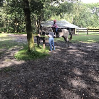 Horsespring Farm - Horse Boarding Near Me - Lake Wales, Florida Horsespring Farm - Horse Boarding Near Me - Lake Wales, Florida
