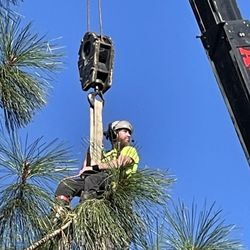 Rope Runners Tree Service - Jesse elevated by the crane