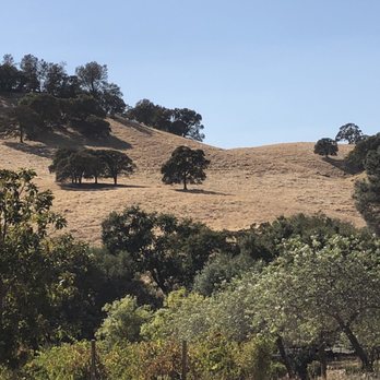 Drytown Cellars - Wineries Near Me - Drytown, California
