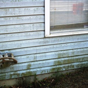 Tri-County Pressure Washing - green mildew - Window Washing Near Me Tri-County Pressure Washing - green mildew - Window Washing Near Me
