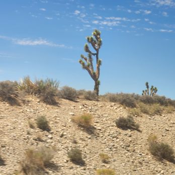 Comedy on Deck Grand Canyon and Hoover Dam Tours - Bus Tours Near Me - Las Vegas, Nevada