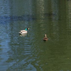 Quintas das Conchas e Lilases