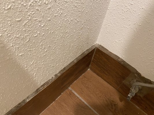 Quality Inn & Suites Gilroy by null