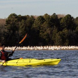 Chattanooga Guided Adventures
