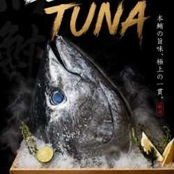 Chubby Sushi & Ramen - Bluefin Tuna