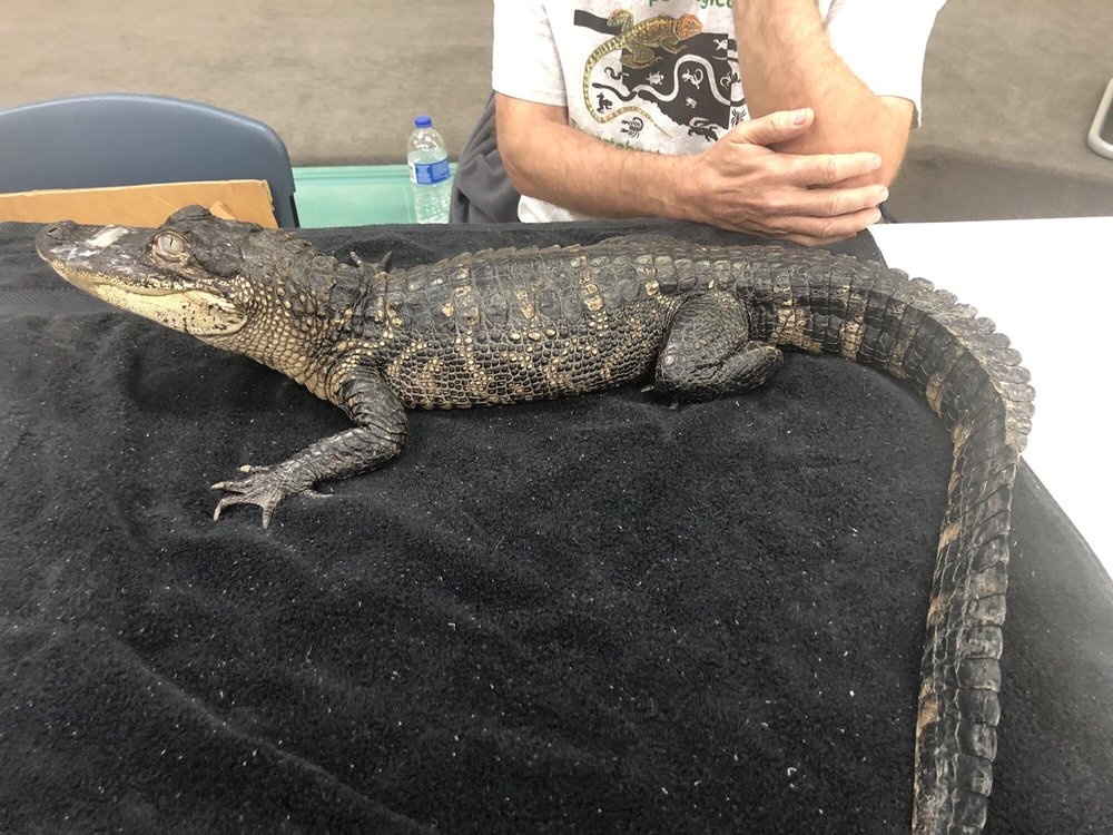 PIONEER LIBRARY SYSTEMS LIBRARIES Updated August 2024 10 Photos