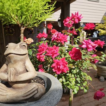 Lemon Tree Pottery - Full bloom zen.... - Arts & Crafts Near Me - Brewster, Massachusetts