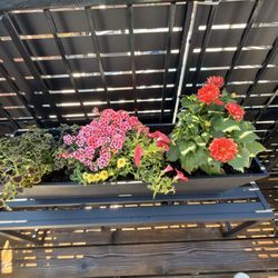 Fertile Garden Center