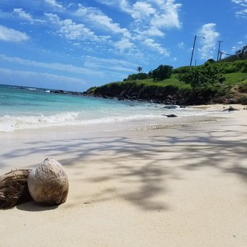 Kailua Beach Park - Coconuts on the beach - Parks Near Me - Kailua, Hawaii