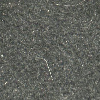 Enterprise Rent-A-Car - Dog hair in front of and back - Car Rental Near Me - Novato, California Enterprise Rent-A-Car - Dog hair in front of and back - Car Rental Near Me - Novato, California