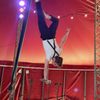 Circus Kirkus gift card