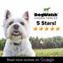 Jax DogWatch Hidden Fences