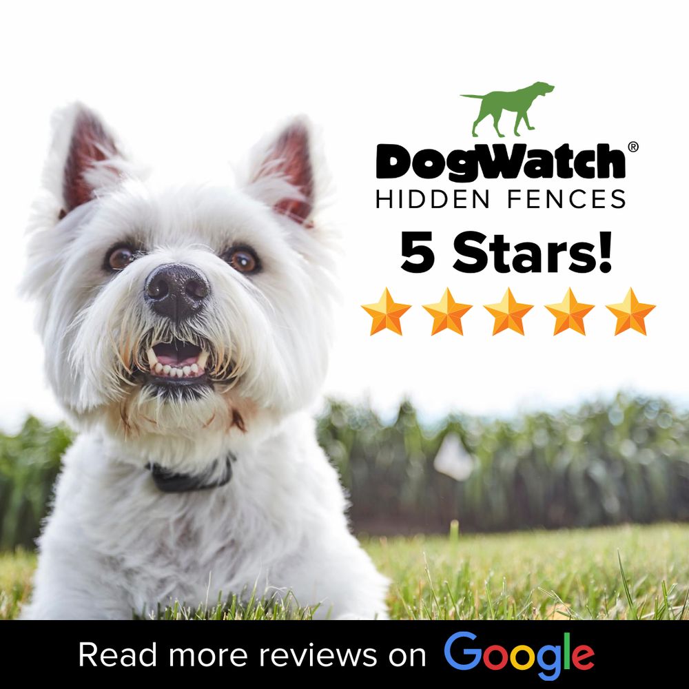 Jax DogWatch Hidden Fences Image