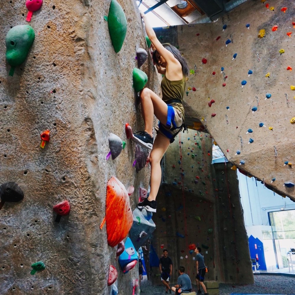 Bouldering Wall Bouldering Wall