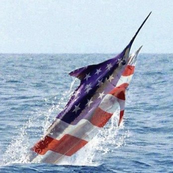 Margo Jewelers - Florida and the American Flag all in one. This picture says everything. - Jewelry Near Me - North Palm Beach, Florida Margo Jewelers - Florida and the American Flag all in one. This picture says everything. - Jewelry Near Me - North Palm Beach, Florida