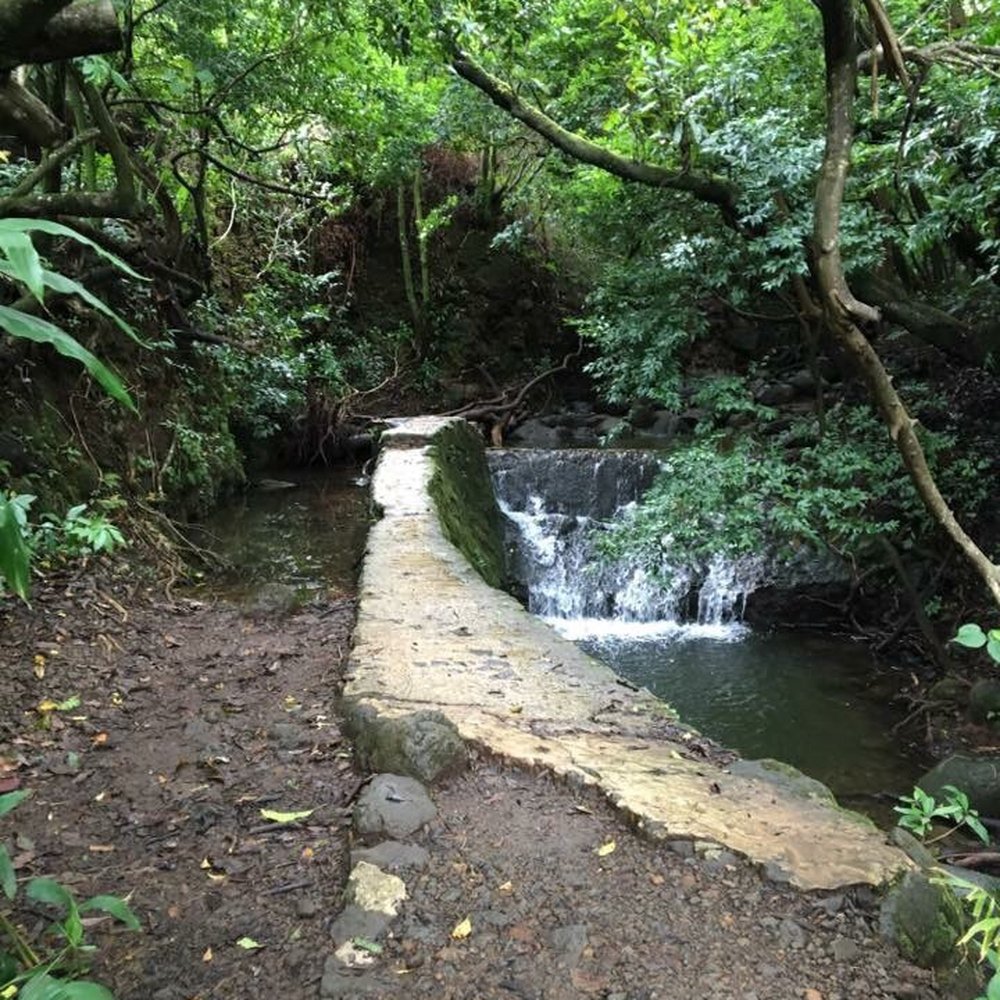Lulumahu Falls - Walk across this wall and follow it to the right then cross back over to the stream to the left for trail - Hiking Near Me - Honolulu, Hawaii Lulumahu Falls - Walk across this wall and follow it to the right then cross back over to the stream to the left for trail - Hiking Near Me - Honolulu, Hawaii
