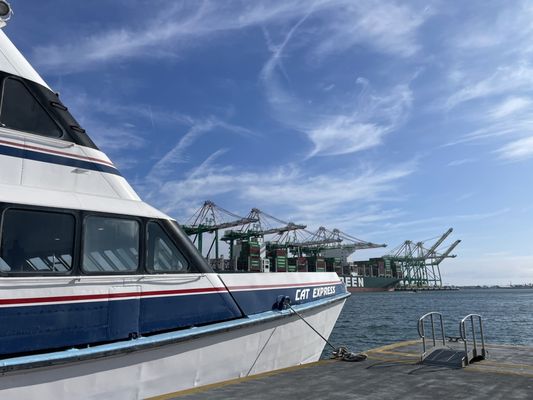 Photo of Catalina Express - San Pedro, CA, US. Boarding the ferry in San Pedro