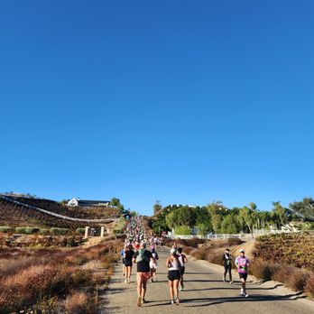 Temecula Half Marathon & 5k - The first of many hills - Races & Competitions Near Me - Temecula, California Temecula Half Marathon & 5k - The first of many hills - Races & Competitions Near Me - Temecula, California