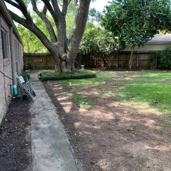 Drain Xperts - a backyard with a tree and a fence - Landscaping Near Me - Alvin, Texas