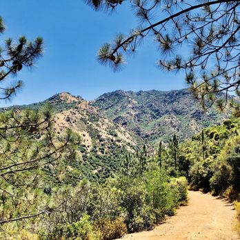 Mount Diablo State Park - Parks Near Me - Clayton, California Mount Diablo State Park - Parks Near Me - Clayton, California