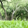 Complete Lawn Care gift card
