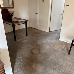 Premium Carpet Care - Before photo (various stains)