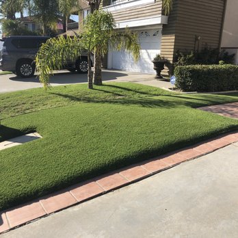Turf Solutions - Artificial Turf Near Me Turf Solutions - Artificial Turf Near Me