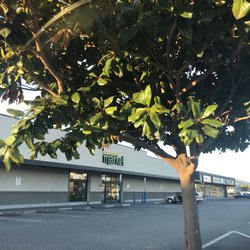 Dollar General Market