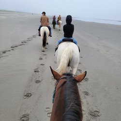 Long Beach Horse Rides