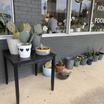 Twinkle Donuts - Cute plants outside and inside - Donuts Near Me - The Colony, Texas Twinkle Donuts - Cute plants outside and inside - Donuts Near Me - The Colony, Texas