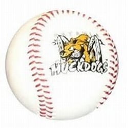 Bret Pagni's Baseball & Softball Academy