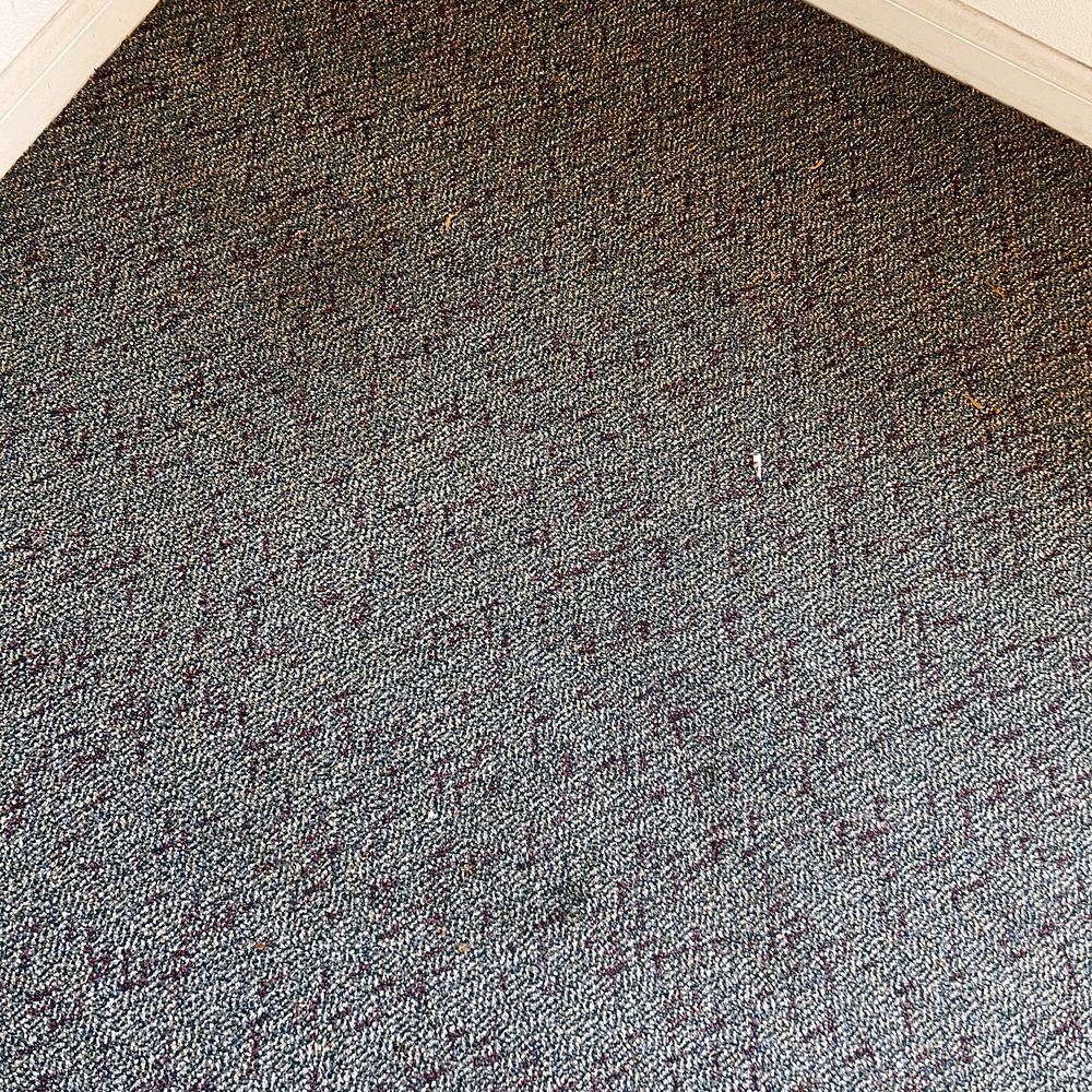 FH Carpet Cleaning - Stain carpet (before) - Carpet Cleaning Near Me