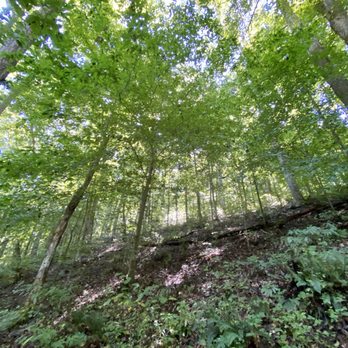 Timberland Park - Hiking Near Me