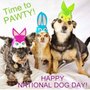Photo of Dirty Paws Pet Grooming