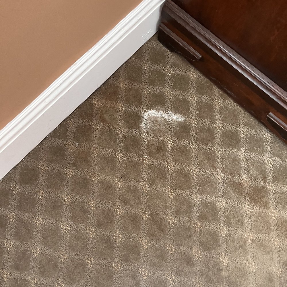 Sonora Inn - Mystery stain on floor - Hotels Near Me - Sonora, California Sonora Inn - Mystery stain on floor - Hotels Near Me - Sonora, California
