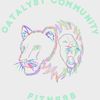 Catalyst Community Fitness gift card