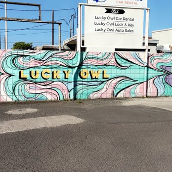 Lucky Owl Car Rental - Love the art deco on the walls - - Car Rental Near Me - Honolulu, Hawaii Lucky Owl Car Rental - Love the art deco on the walls - - Car Rental Near Me - Honolulu, Hawaii
