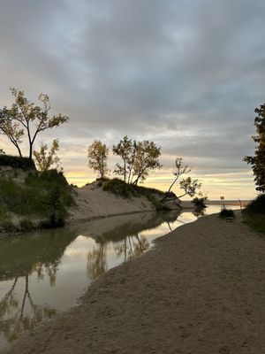 Warren Dunes State Park by null
