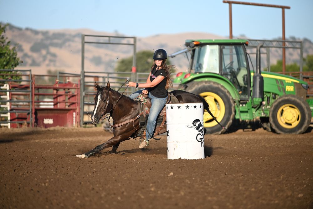 Painted Star Equestrian Logo