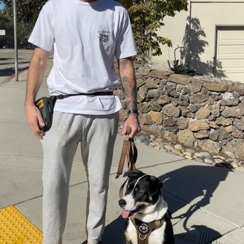 Freakin Pawsome - Pet Training Near Me Freakin Pawsome - Pet Training Near Me