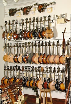 Elderly Instruments by null