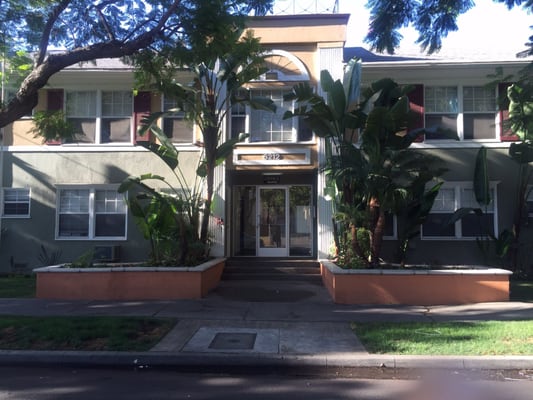 Hollywood Off Vine (Hov) by null