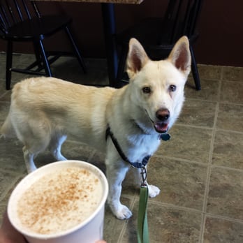 Bark Espresso - Dog. Chai. - Coffee & Tea Near Me - Seattle, Washington Bark Espresso - Dog. Chai. - Coffee & Tea Near Me - Seattle, Washington