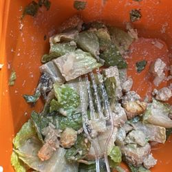 Salad and Go - See the nice cricket lathered in dressing